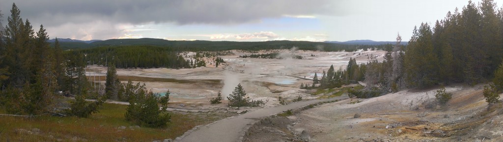geysers in yellowstone national park