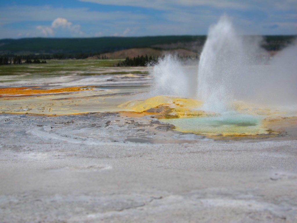 geysers in yellowstone national park