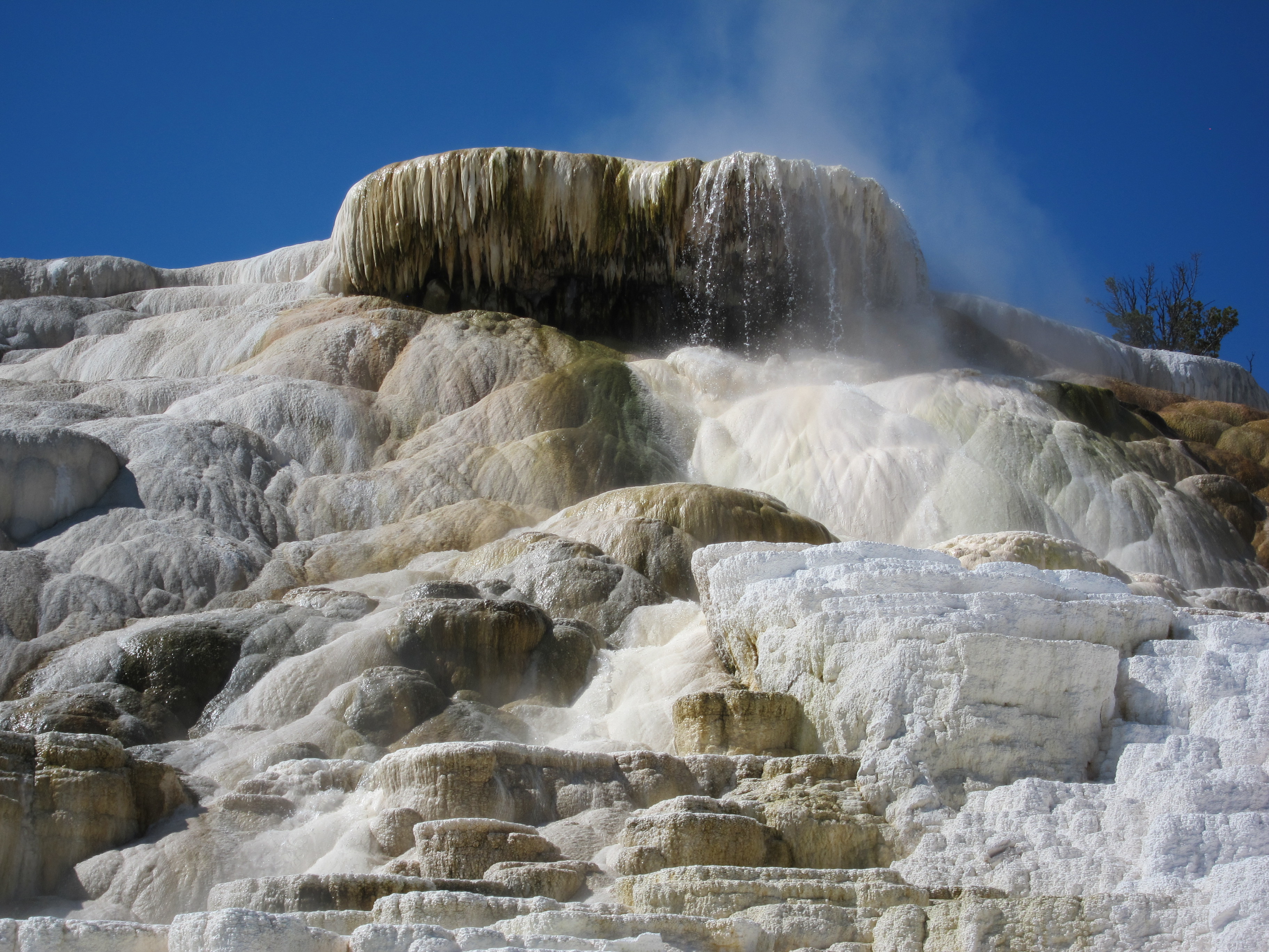 visit mammoth hot springs
