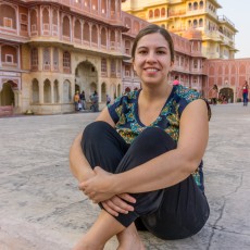 The Jaipur Palace